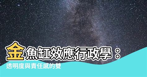 金魚缸效應行政學|金魚缸效應：行政透明的代價